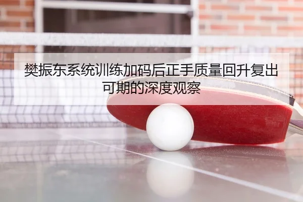 樊振东系统训练加码后正手质量回升复出可期的深度观察